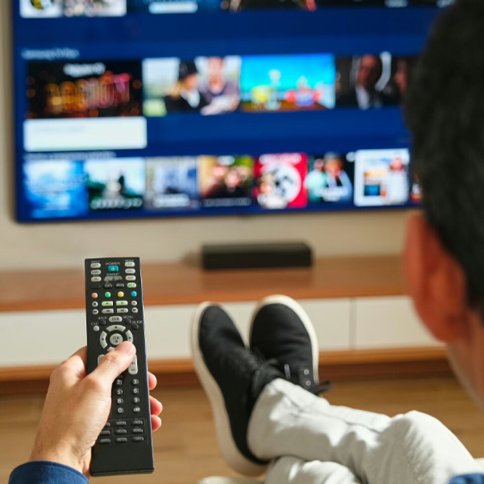 TerraVision Pro image